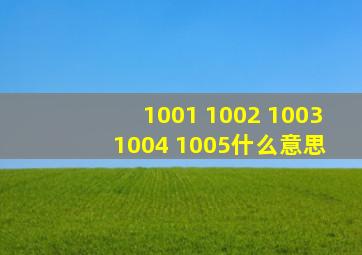 1001 1002 1003 1004 1005什么意思